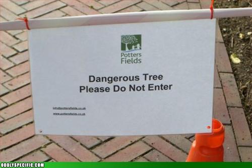 Dangerous Tree. Please do not enter.